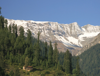 manali taxi service, taxi service in manali