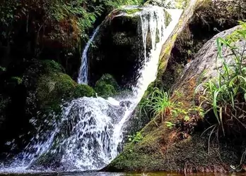 Jana Waterfall Sightseeing Tour