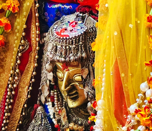 Manali sightseeing tour view