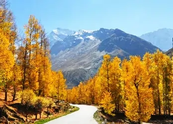 Manali To Sissu Sightseeing